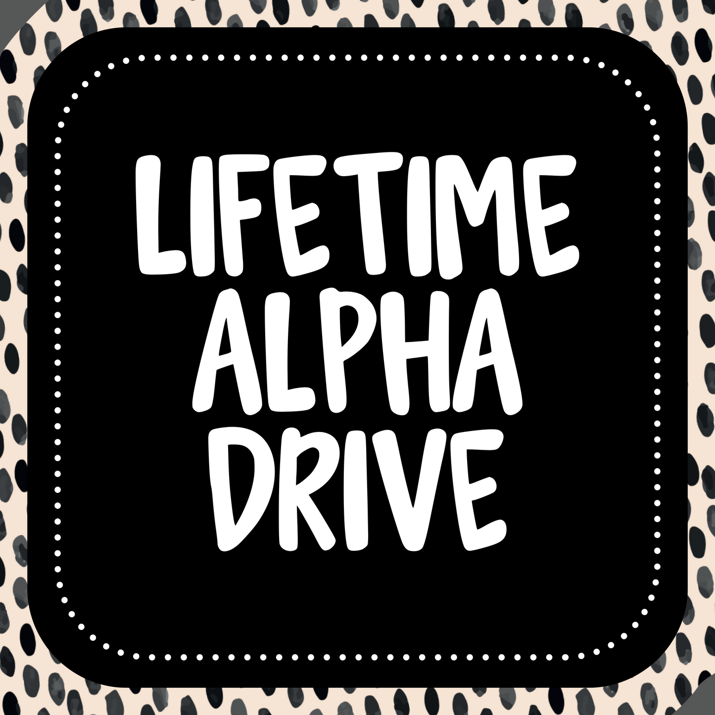 LIFETIME ALPHA DRIVE - ALPHA SETS ONLY! - READ ALL INFO BEFORE YOU BUY!! NO REFUNDS BECAUSE YOU DIDNT READ!